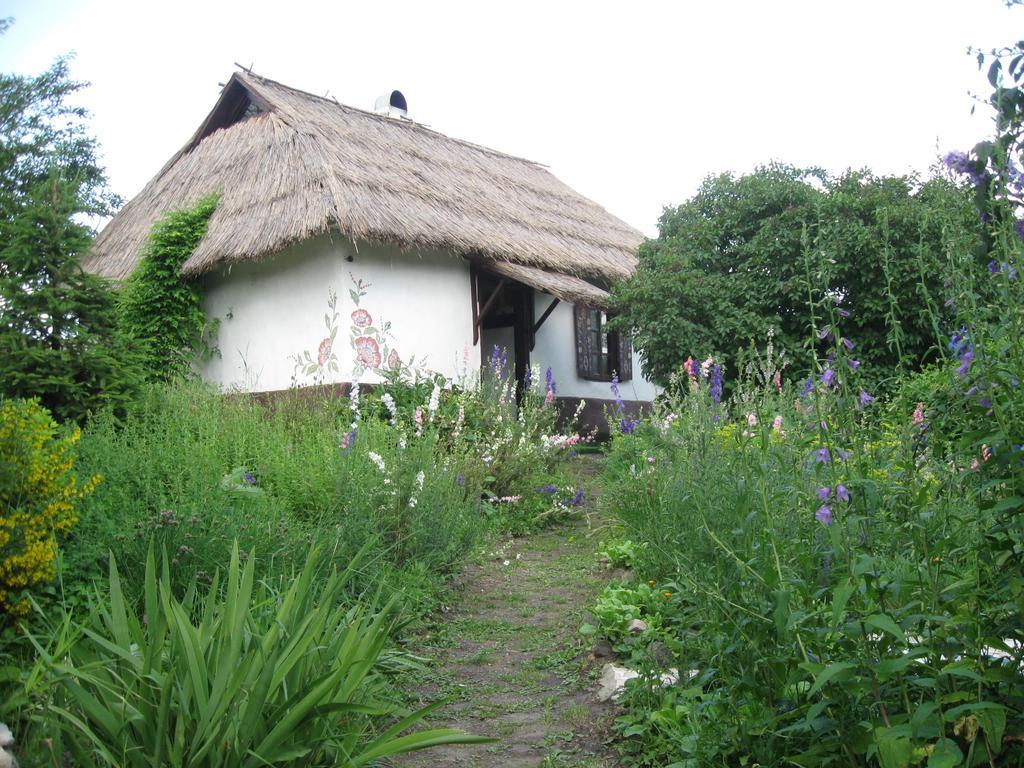 Гостьовий будинок Koryakivskyi Rai Дмитренки Екстер'єр фото
