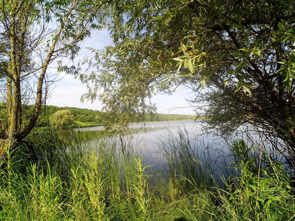Гостьовий будинок Koryakivskyi Rai Дмитренки Екстер'єр фото
