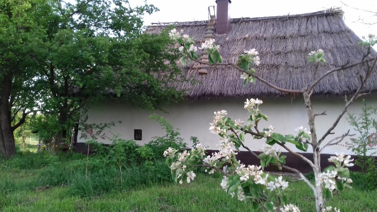 Гостьовий будинок Koryakivskyi Rai Дмитренки Екстер'єр фото