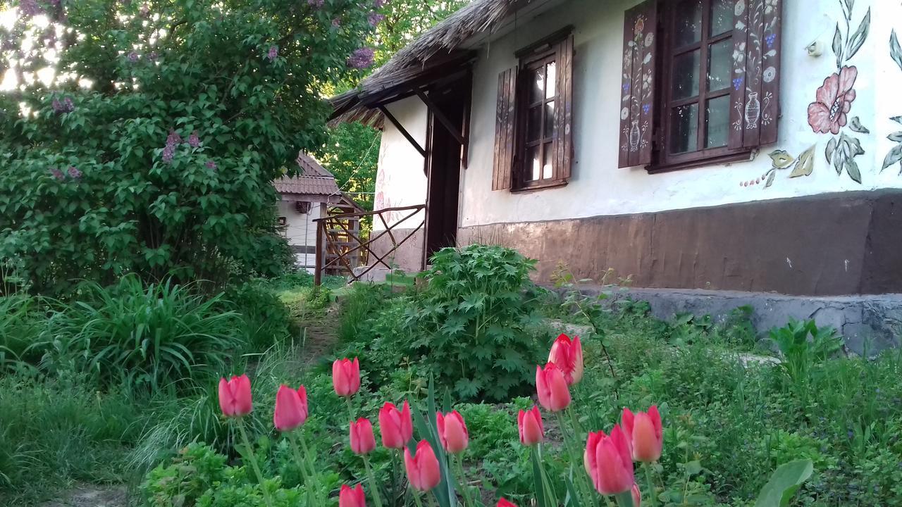 Гостьовий будинок Koryakivskyi Rai Дмитренки Екстер'єр фото